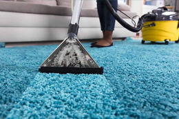 Carpet Cleaning